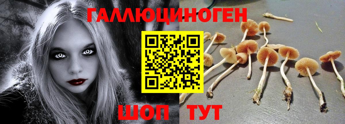 Галлюциногенные грибы прущие грибы Рязань